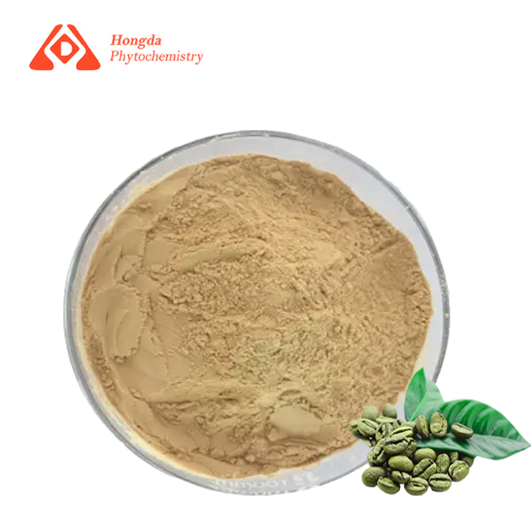 Green Coffee Bean Extract Chlorogenic Acid